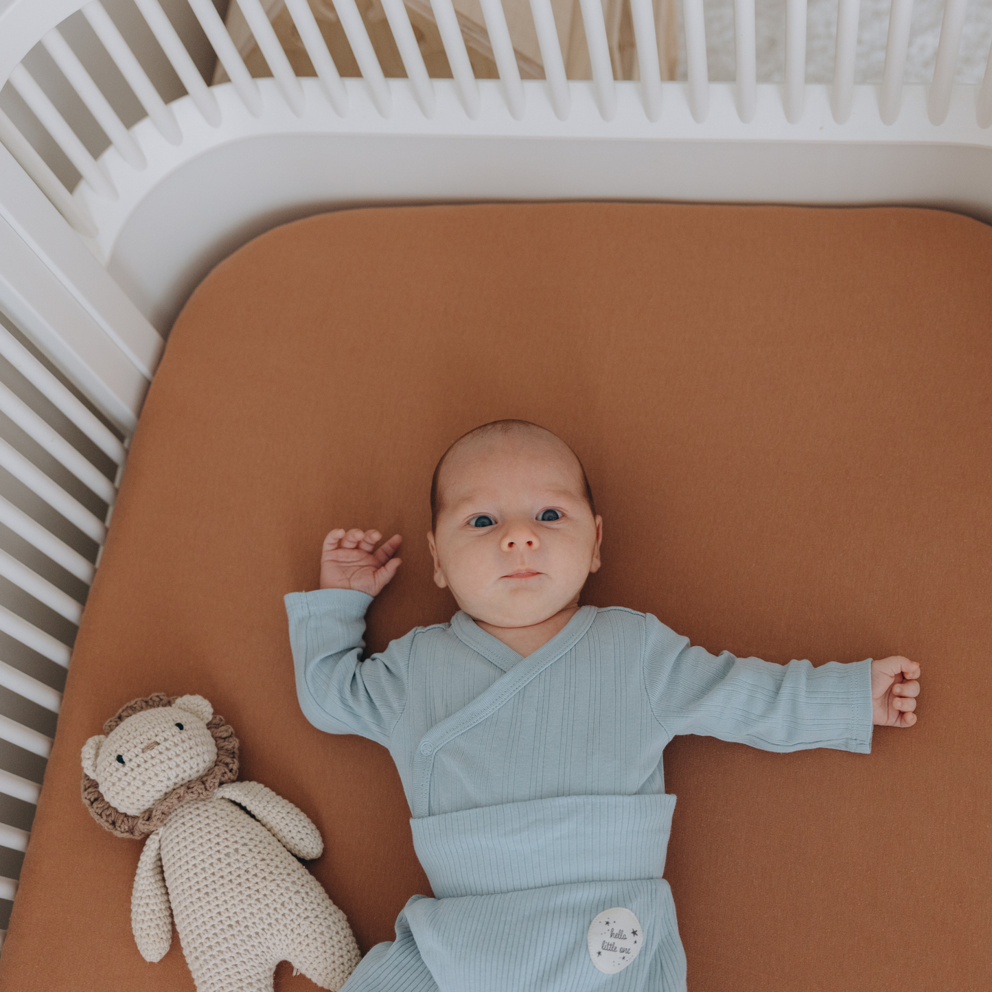 Soft Cotton Jersey Fitted Cot Sheet 120x60cm for Babies