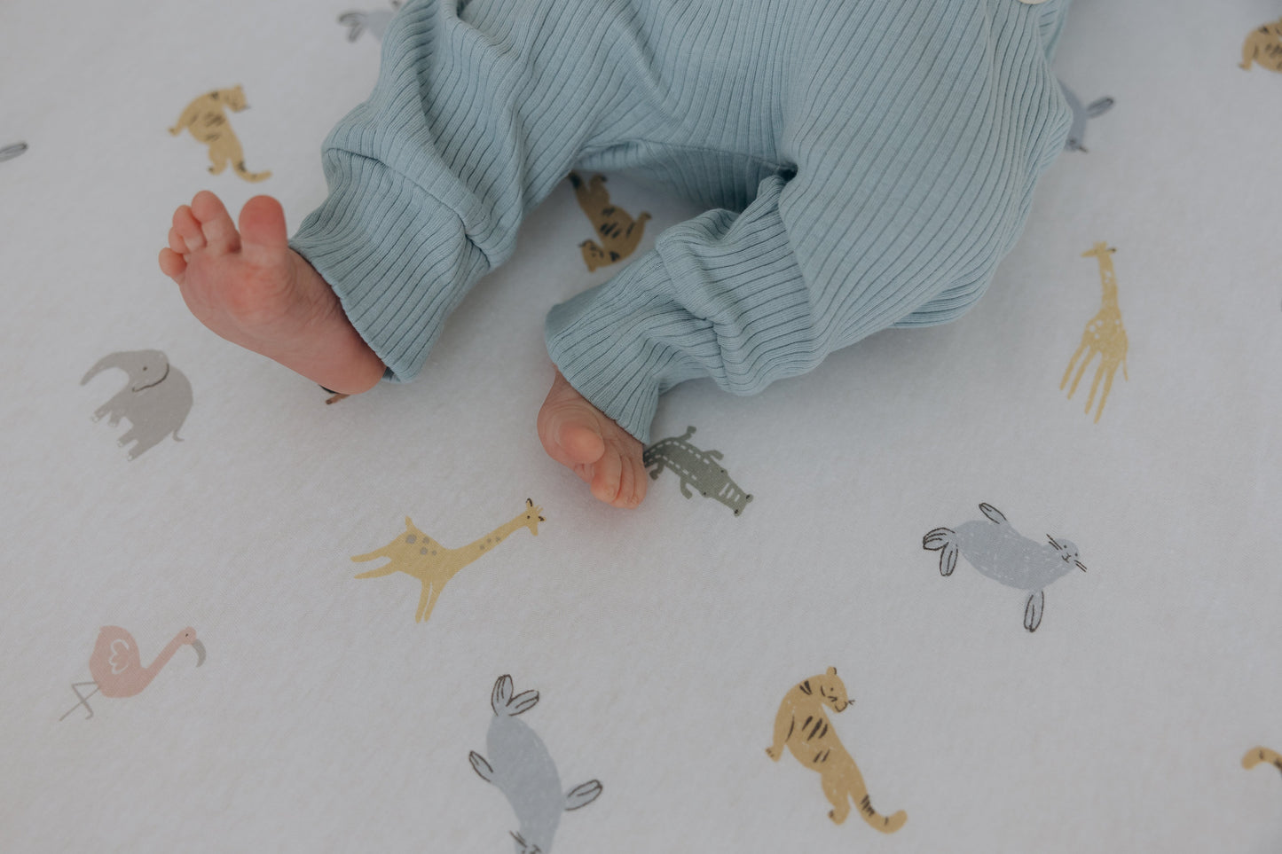 100% Cotton Jersey Fitted Cot Sheet Pack of 2 – Denim Blue & Animal Print – Soft & Breathable Baby Bedding – Fits 140x70cm & 120x60cm Cots